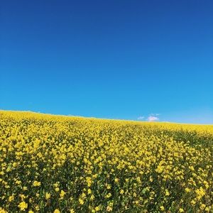 Meet your Posher, Rita